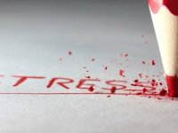 Hogyan rombol a stressz?