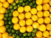 Miért is fontos a C-vitamin